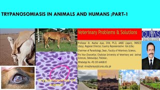 Trypanosomiasis in Cattle Horses Camel and Dogs Causes Symptoms Diagnosis and Treatment [upl. by Gronseth]