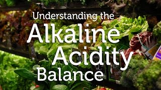 How to Detox and Fight Disease using Alkaline Foods amp pH Balance Diet  Wellness [upl. by Nissy]