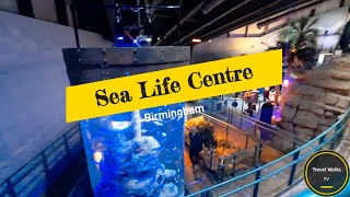 Sea Life Centre Birmingham Walk  November 2021 [upl. by Weig]