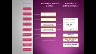 Study of Biopharmacy in Intrapulmonary route [upl. by Eichman]