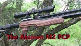 Pest Control with the Ataman M2 Ultra Carbine [upl. by Godspeed597]