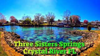 Quick tour of Three Sister Springs Wildlife Refuge in Crystal River FL [upl. by Isolde]