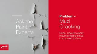 How to Prevent Paint from Mud Cracking  Ask the Paint Experts [upl. by Annaliese569]