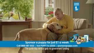 Guide Dogs Sponsor a Puppy TV ad [upl. by Neerroc996]