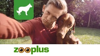 Pedigree  SelfieStick for free  zooplus [upl. by Brindell194]