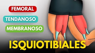 4 EJERCICIOS DE PIERNAS QUE DEBES HACER [upl. by Mcdade840]