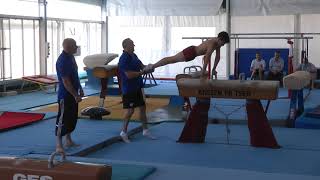 UEG MAG CAMP TIRRENIA 2019  POMMEL HORSE magyar amp sivado [upl. by Woody]