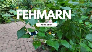 Fehmarn Juni 2024 Schmetterlingspark Butterfly Park [upl. by Drummond]