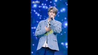 Luo Yizhou 《Starlight》 Mingchao Qianfan Music Festival 💚  罗一舟 《星光》 明潮千帆音乐节 💚 20240916 [upl. by Berstine624]