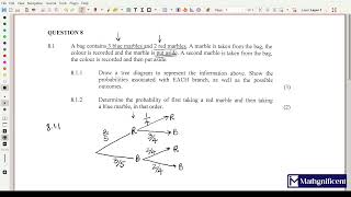 Grade 11 Math  Probability Tree Diagrams  Part 1  Past Exam Question  Exam Revision [upl. by Arbua]