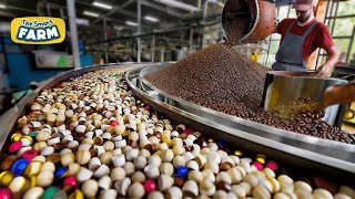 How Coffee Capsules Are Made MASSIVE Coffee Factory And Processing Technology [upl. by Ilagam710]