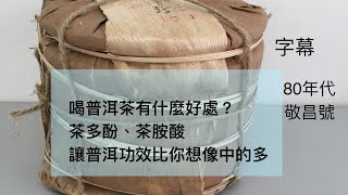 20240329 喝普洱茶有什麼好處？茶多酚、茶胺酸讓普洱功效比你想像中的多 字幕 廣東話 齋講 lydiacpa 心齋 [upl. by Losyram525]