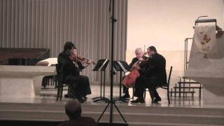 Haydn  Quartet in D Major quotLarkquot Opus 64 No 5 Allegro moderato [upl. by Briscoe309]