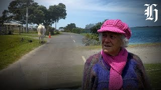 The Great New Zealand Road Trip Cape Rēinga to the Bay of Islands [upl. by Anaet614]