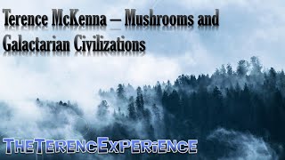 Terence McKenna  Mushrooms and Galactarian Civilizations [upl. by Cooley160]