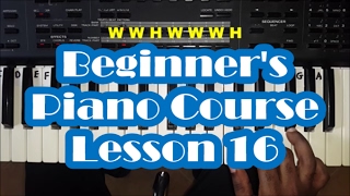 Piano Lesson 16  For Beginners  How To Play Piano  The G Major Scale [upl. by Ahsatniuq843]