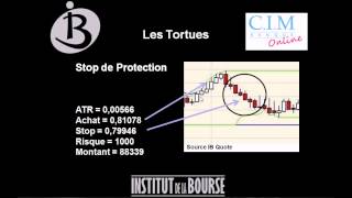 Stratégie des Tortues [upl. by Arand]