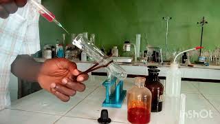 WAEC 2024 Chemistry Practical Qualitative Analysis salt analysis [upl. by Seessel]