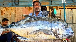 KASIMEDU 🔥 MR MURUGAN  33 KG GIANT BLACK TREVALLY FISH CUTTING VIDEO  IN KASIMEDU  FF CUTTING 🔪 [upl. by Anidan96]