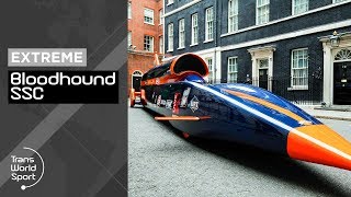 The Bloodhound SSC  1000mph Car Taking On The Land Speed Record  Trans World Sport [upl. by Kerk479]