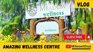 Best Naturopathy Centre In India The Meadow Wellness Centre Junagadh [upl. by Olodort841]