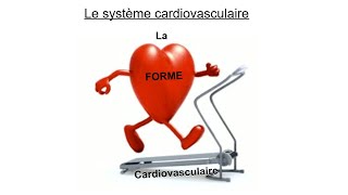 La forme cardiovasculaire [upl. by Lenna]