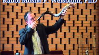 Shofar Blowing Yemenite Shofar Rabbi Moshe Weisblum [upl. by Atok]