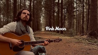 Pink Moon  Nick Drake Cover [upl. by Nnaarual]