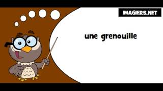 Comment prononcer  une grenouille [upl. by Yadrahs]