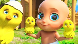 🐤🐥Los Pollitos Dicen Pio Pio  Canciones Infantiles para niños [upl. by Nolat]