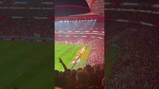 Golo Benfica  Florentino [upl. by Ecirtram351]