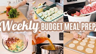 EASY BUDGET FRIENDLY WEEKLY MEAL PREP RECIPES WEEKLY MEAL PLAN WHATS FOR DINNER FREEZER MEALS [upl. by Ecyob965]