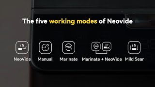 How to Use the Five Modes of Neovide [upl. by Rennerb]