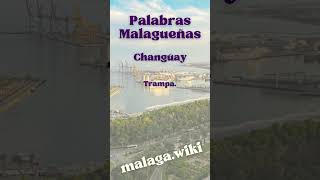 Diccionario Malagueño Palabras de malaga [upl. by Lunna]