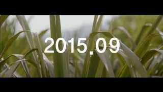 더샘 하라케케 티저 광고 theSAEM Harakeke 201509Teaser [upl. by Ara]