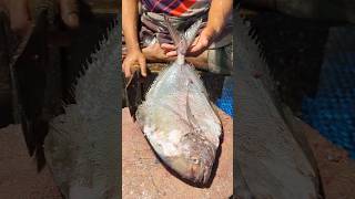 Astonishing Perfect Size Black Pomfret Fish Cutting Skills In Bangladesh episode6🫢😱 shorts [upl. by Adiam]