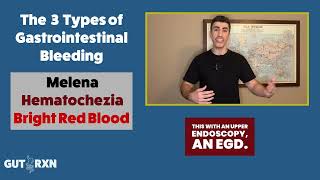 Gastrointestinal Bleeding GI Bleed explained by a gastroenterologist doctor medicine nurse [upl. by Duomham]