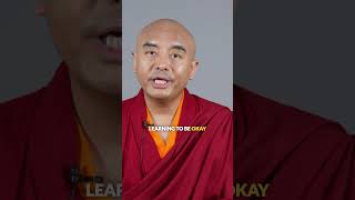 No mistakes no success motivation meditation buddhistmonk success inspiration [upl. by Intirb]