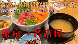 【青春18切符】 東京⇒名古屋 途中下車食べ歩き 【新幹線名古屋浜松不通】 [upl. by Culver]