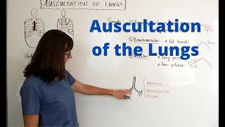 Auscultation of the Lungs [upl. by Luzader]