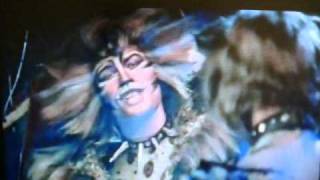 Rum Tum Tugger amp Munkustrap  Never knew i needed [upl. by Kristan]