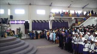 The Apostolic Ark 100th Year Celebration Part 1 [upl. by Anaehr]