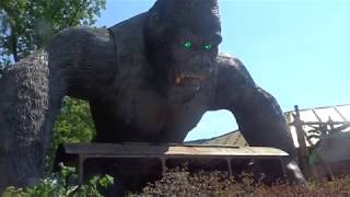 king kong bobbejaanland 3062018 [upl. by Keisling781]