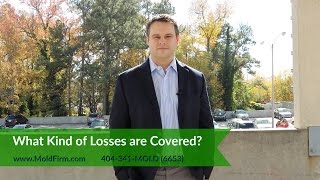 What Kind of Losses are Covered in a Mold Case  Georgia Toxic Mold Attorneys  Mold Firm [upl. by Patin]