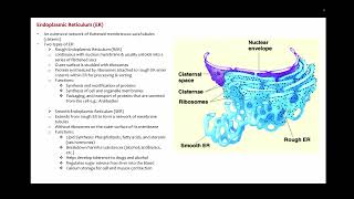 SIR1001 lecture 4 Fundamental Microbiology [upl. by Eelrihs]