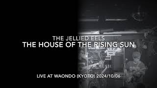 quotThe House Of The Rising Sunquot The Animals cover by The Jellied Eels [upl. by Noli311]