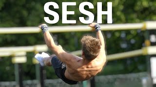 HEAVY SESH  Calisthenics Statics workout [upl. by Luapnhoj]