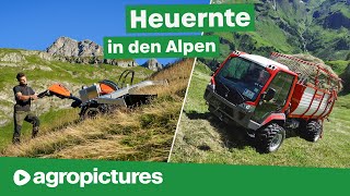 Heuernte mit Olympiasieger Johannes Strolz ⛷️🥇Ibex G2 Motormäher und Lindner Unitrac 122 LDrive [upl. by Jemine]