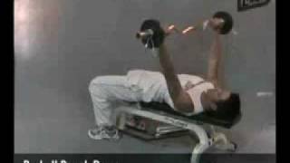 Gerakan Latihan Otot Dada  BARBELL BENCH PRESS [upl. by Yelloh]