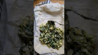 Authentic Spanakopita Recipe Greek Spinach and Leek Pie food shorts [upl. by Brynn]